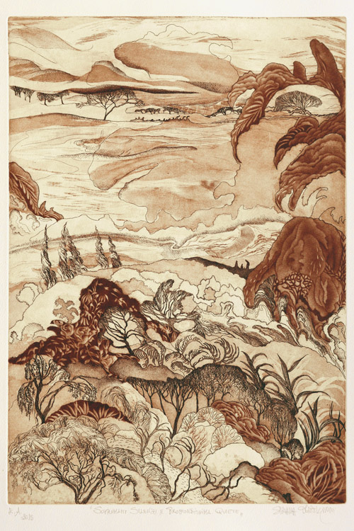 Sovrumani silenzi e profondissima quiete, 2015-acquaforte,puntasecca,acquatinta,maniera nera,mm. 495x342
