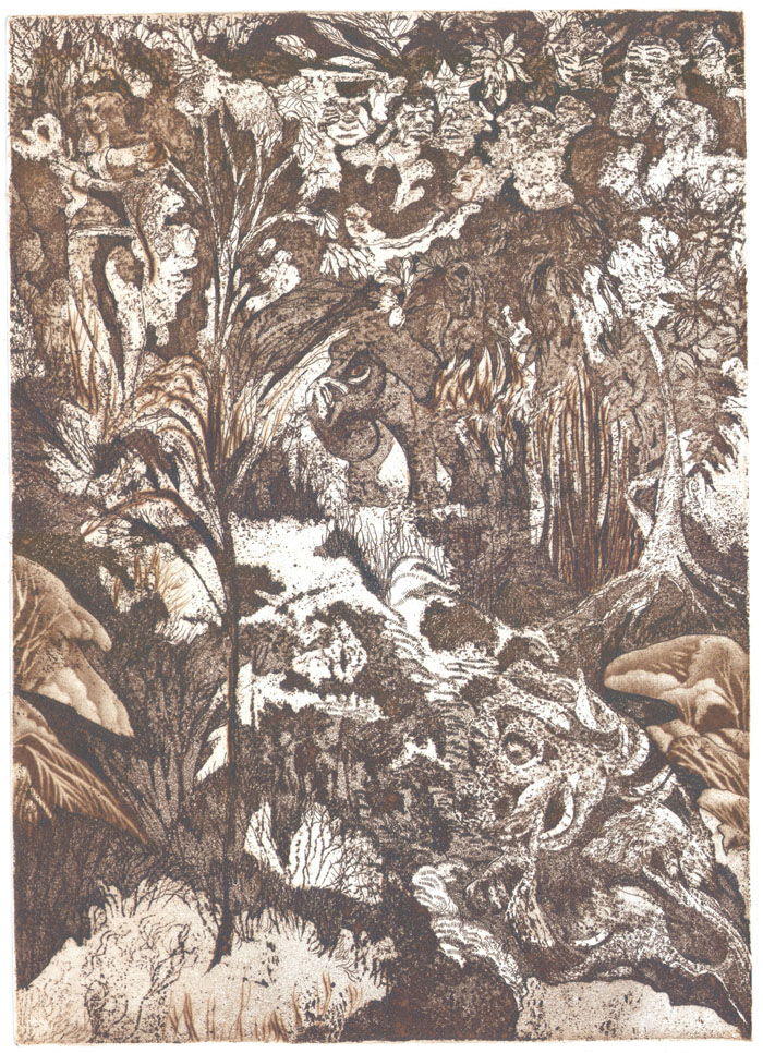 Foresta animata, 2016 ceramolle, acquaforte, acquatinta, maniera nera, mm 350 x 250