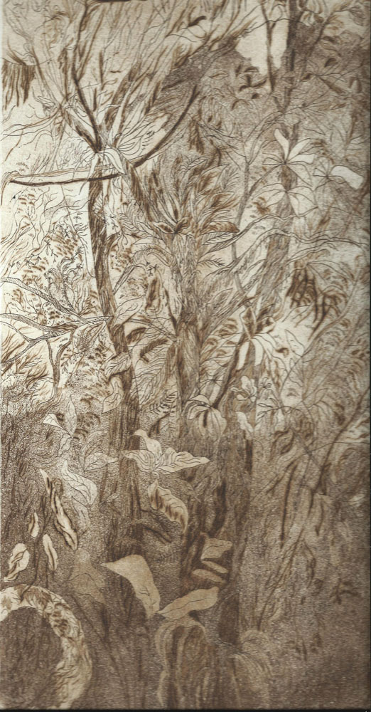 Rain forest (3), 2017 acquaforte, puntasecca, acquatinta