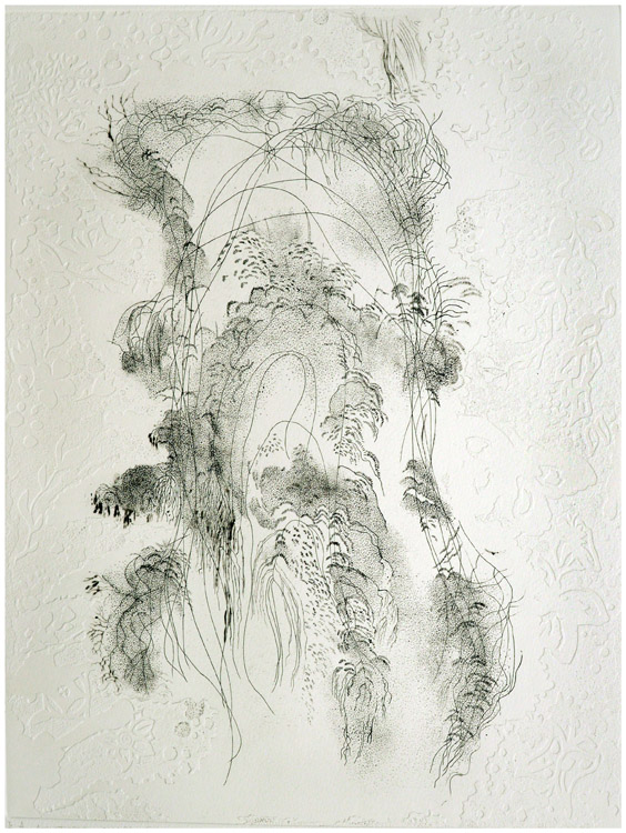 Tracce,2014-acquaforte,puntasecca,stampa in rilievo,mm. 400x297