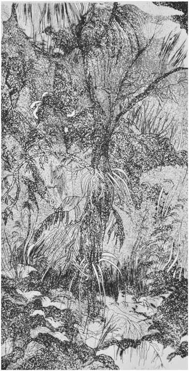 Rain forest (1),2013-acquaforte-puntasecca-acquatinta, mm.322x167