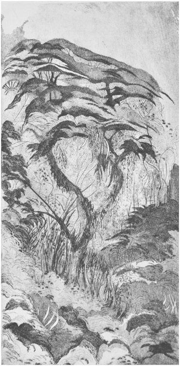 Rain forest (2),2013-acquaforte-puntasecca-acquatinta, mm. 317x157