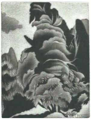 24 – EXL Luigi Bergomi “Giardino alto” C7, mm. 133x100 – 2014;