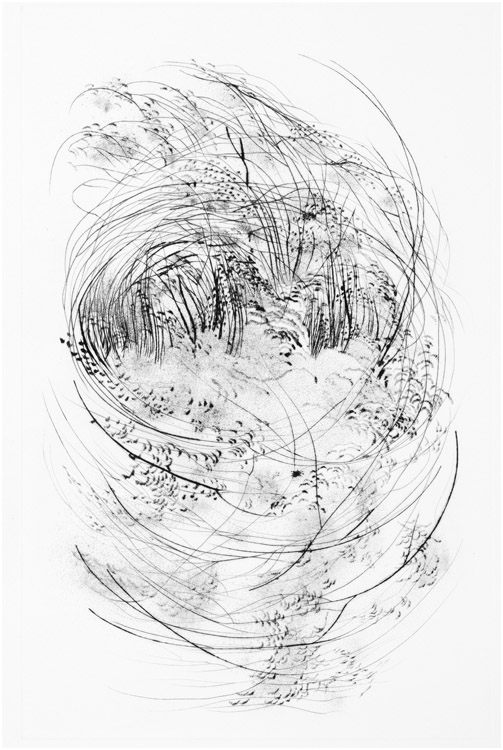 Intrico,2011- puntasecca, mm. 500x323