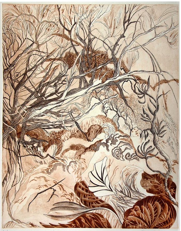 Tracce di foresta, 2016 acquaforte, acquatinta, puntasecca, maniera nera mm 495x398