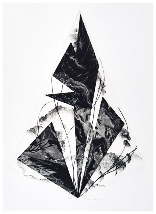 Combinazione complicata (3), 2011 - maniera nera e puntasecca, mm.426x314