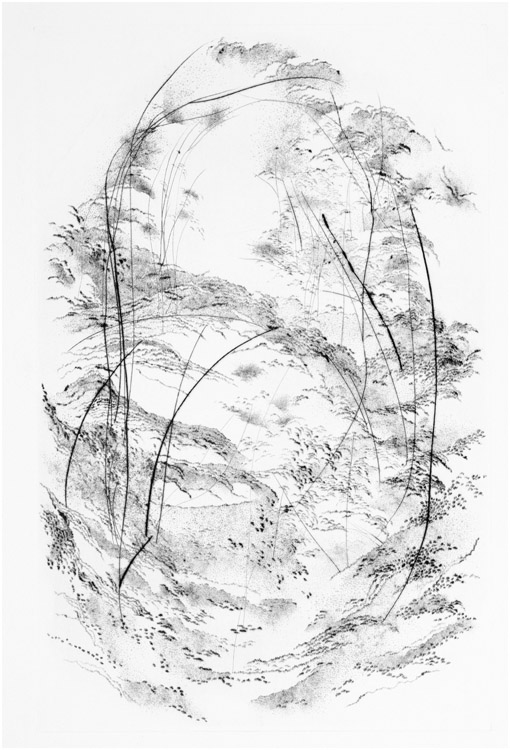 Più in alto, 2011 - puntasecca, mm. 496x320