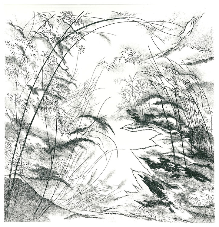 Segni, 1984 - acquaforte, mm.250x250