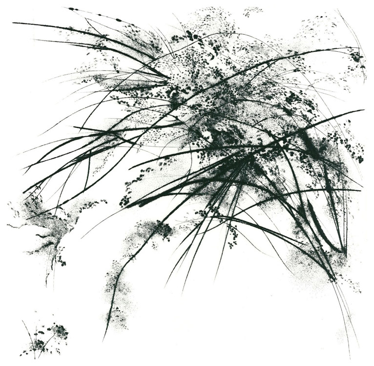 Addensamento (2), 1984 - puntasecca, mm.300x300