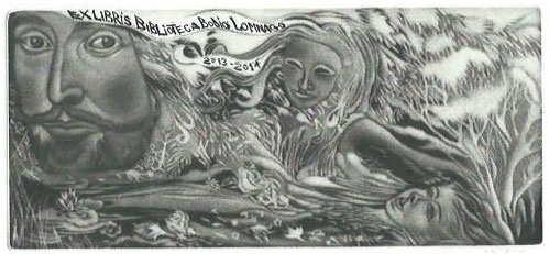 06 – EXL Biblioteca Bodio Lomnago 2013-2014 “Noi siamo fatti della stessa sostanza dei sogni..”W. Shakespeare C7, mm. 74x165 - 2013;