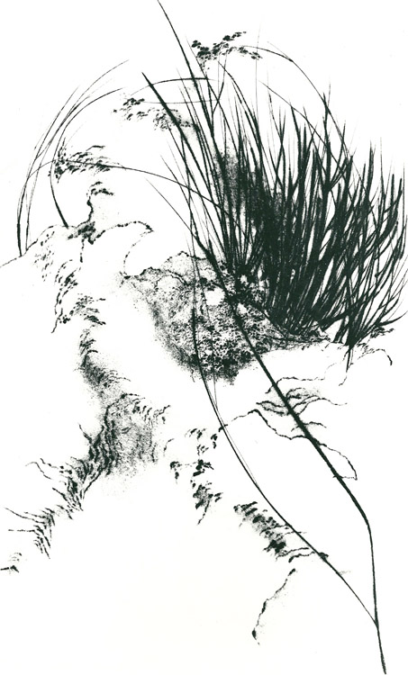 Come uno strano viaggio,1984 - puntasecca, mm.500x320