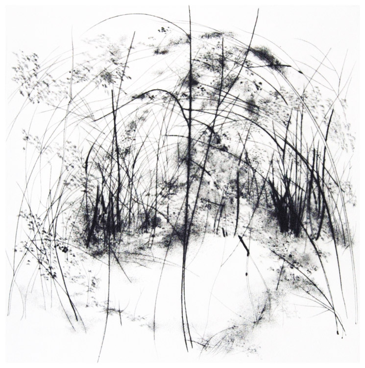Cerchio, 1983 - puntasecca, mm.350x344