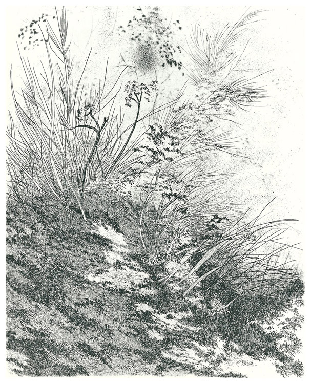 Passaggi, 1983 - acquaforte,puntasecca,acquatinta, mm.230x180