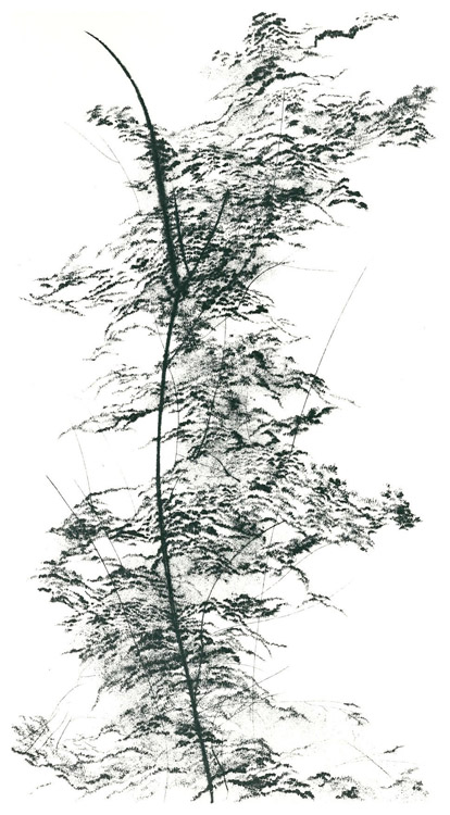 Forme (1), 1983 - puntasecca, mm.327x174