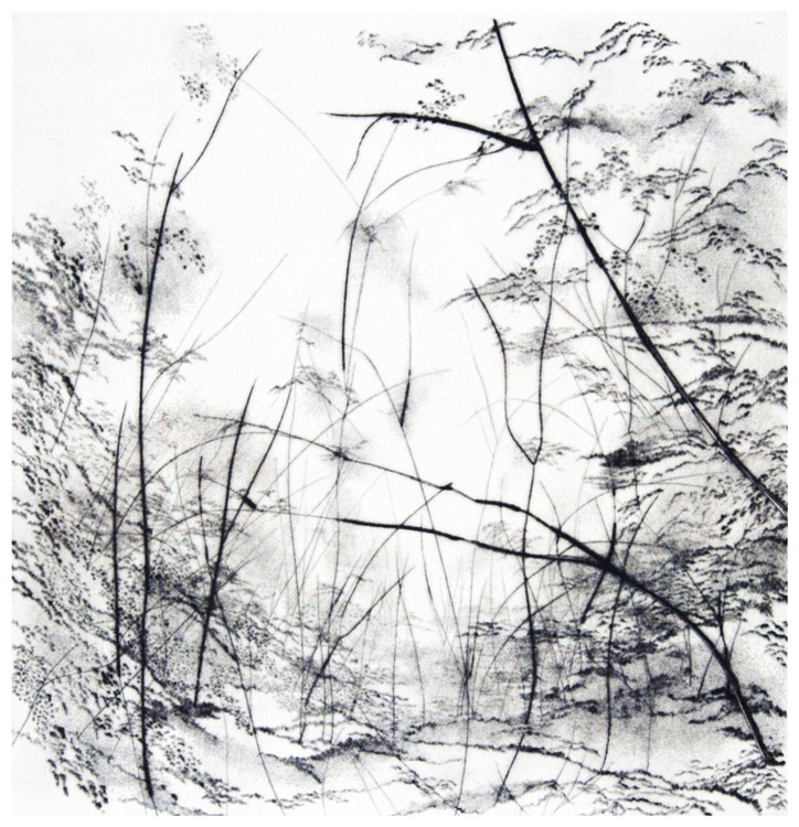 Vaporosità, 1983 - puntasecca, mm.325x325