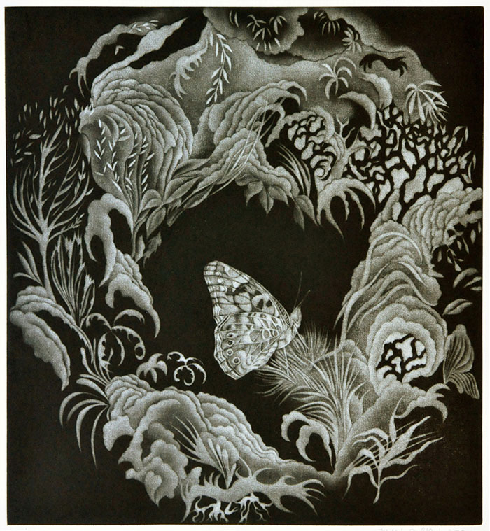 Looking a butterfly, 2017 maniera-nera, mm.320-x-300